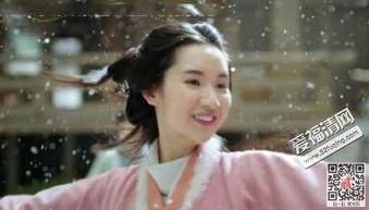 曹节演员,宫廷权谋与女性命运的交织